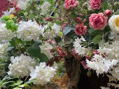 -花之城