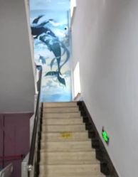 -大连新百佳妇儿医院