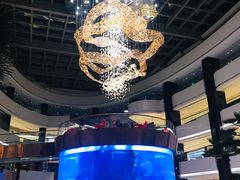 -OPEN開全日自助餐厅·牛肉火锅·海鲜(佛山希尔顿酒店)