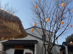 -雅达·阳羡溪山小镇中心