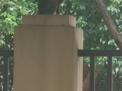 -合肥野生动物园