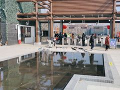 -杭州湾海上花田景区