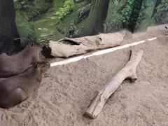 -北戴河圣蓝海洋公园