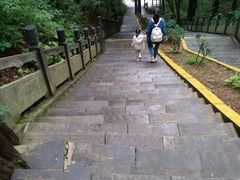 -洛阳白云山景区