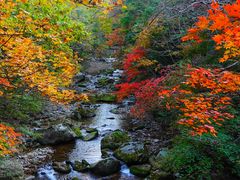 -本溪老边沟风景区
