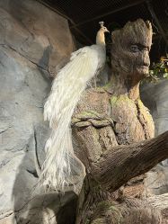 点击看大图 -Zoolung Zoolung动物主题公园(海信广场店)