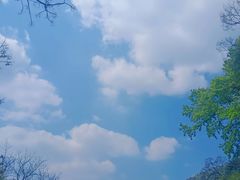 -广州市石门国家森林公园
