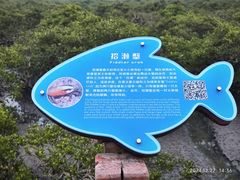 -北海金海湾红树林生态旅游区