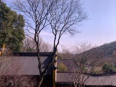 -杭州植物园