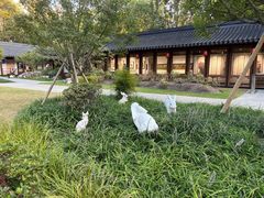 -上海仁爱医院口腔科 · 种植