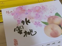 -老袁家蜜桃农场·阳山水蜜桃