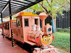 -黄海国家森林公园