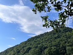 -桃花岭景区