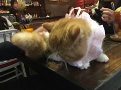 -MIKAKU(万达广场上海宝山店)