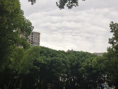 -重庆市江北嘴中央商务区中央公园