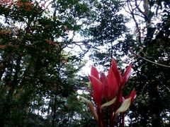 android_upload_pic-广州市石门国家森林公园