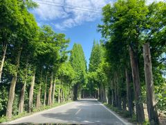 -青城山