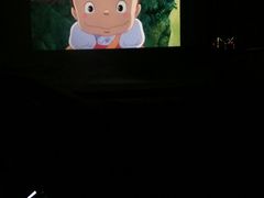 -枫花园汽车电影院(朝阳公园店)