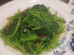 茼蒿茶树菇-粗粮人家·东北菜(洋桥店)