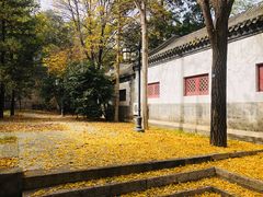 -北京鹫峰国家森林公园