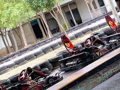 -上海海湾国家森林公园