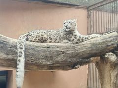 -青藏高原野生动物园