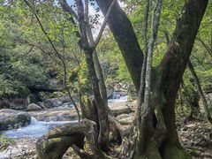 -本溪老边沟风景区