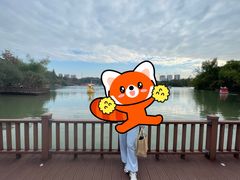 -青枫公园