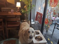 -咖法森林·咖啡  酒吧(天河店)