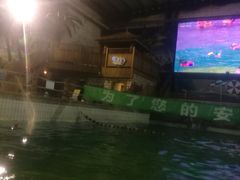 -南宫温泉水世界