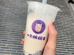 -一只酸奶牛(奎星楼店)