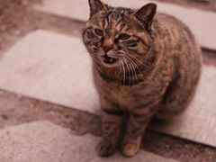 -北京市劳动人民文化宫