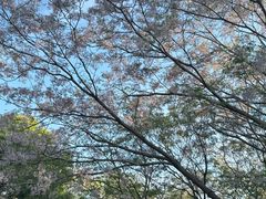 -白塘生态植物园