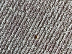 -惠州金海湾嘉华度假酒店