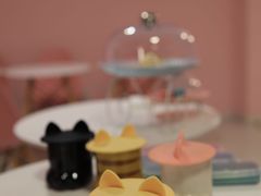 -三花喵·撸猫购宠·宠物生活馆(虹桥南丰城店)