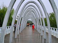 -大兴滨河森林公园