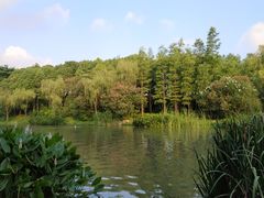 -新江湾城公园