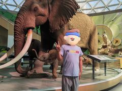 -陕西自然博物馆