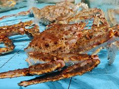 -食鼎记海鲜大排档(美食街店)