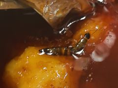 -龙门花甲·锡纸小海鲜(沈阳于洪区医学院店)