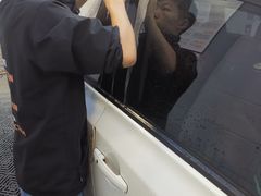 -天猫养车贴膜轻改·蓝电(优匹康桥东路店)