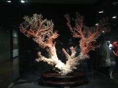 -台北故宫博物院