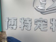 -博特宠物医院24h犬猫全科.骨科·异宠