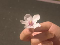 -苏州湾体育公园