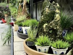 -阿浪山庄