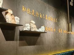 -黄晓猫剁椒大鱼头(海岸城店)