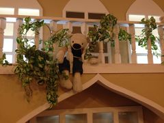 -济州岛泰迪熊博物馆