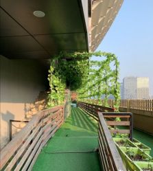 点击看大图 -可可天空农场(中大店)