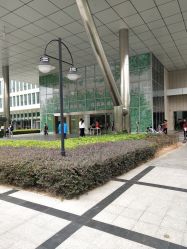 -深圳市宝安区妇幼保健院