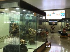 景点-内蒙古博物院